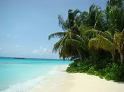 мальдивские острова индийского океана 
