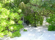 мале, столица мальдивских островов