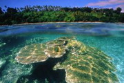 мальдивы - коралловая жемчужина океана!