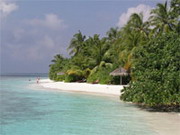 природа мальдивских островов