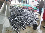 рыбный рынок мале