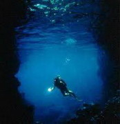  подводный рай  /  underwater bliss 