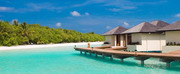 отель paradise island resort - spa 5*