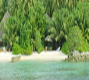 nika island maldives 5l*